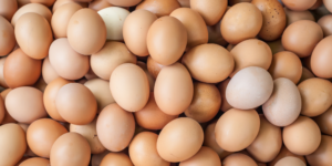 Ovo Completo e Nutritivo