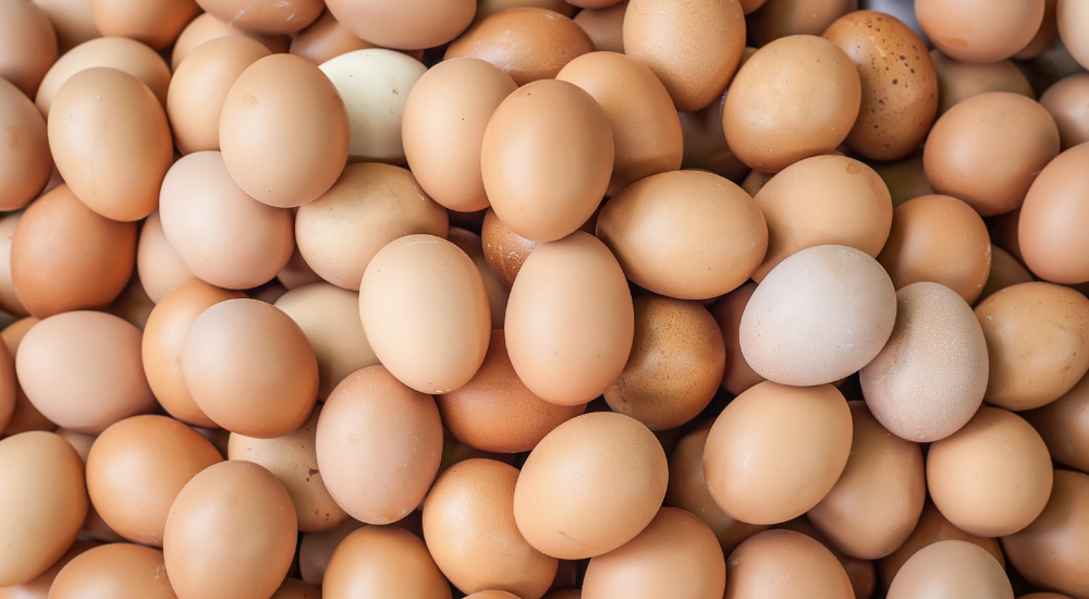 Ovo Completo e Nutritivo