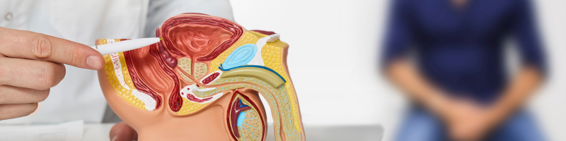 Câncer de próstata: entenda os riscos