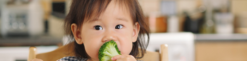 Como garantir segurança alimentar?