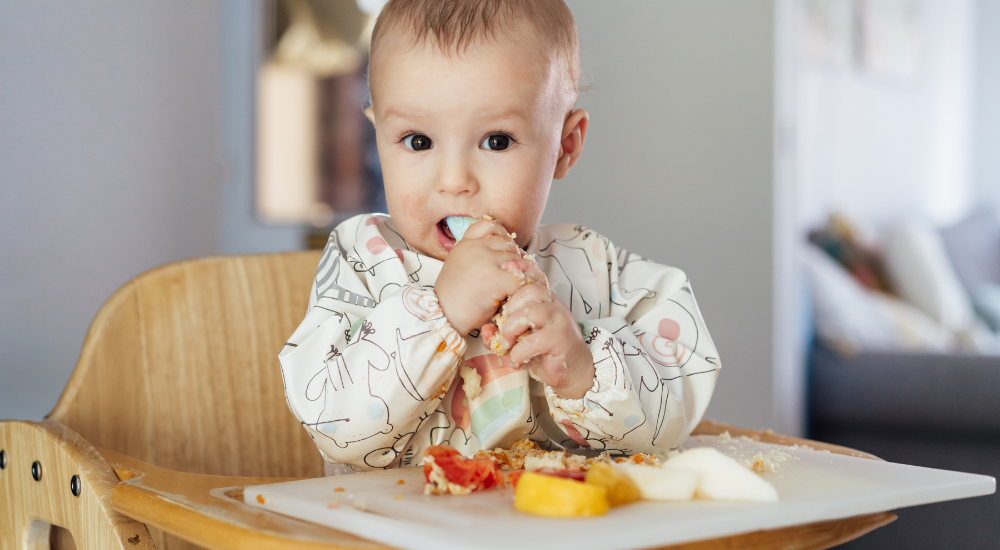 Introdução alimentar na infância: como começar de forma segura