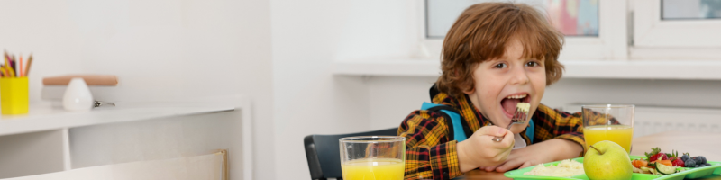 Lancheira saudável e educação alimentar