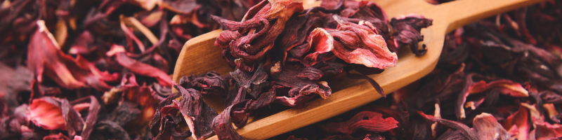 O que é o chá de hibisco