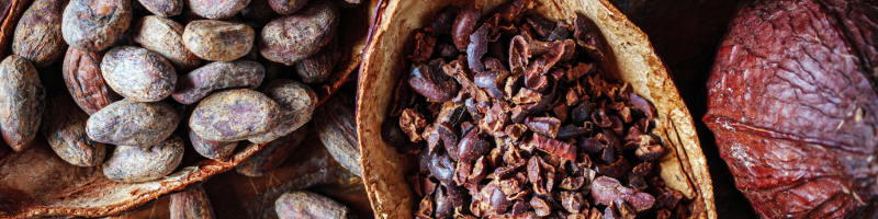 Formas mais saudáveis de consumir cacau