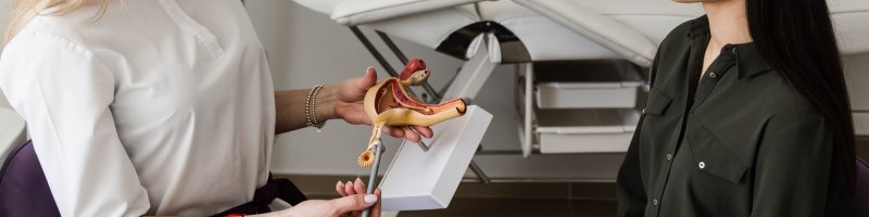 O que causa a síndrome dos ovários policísticos