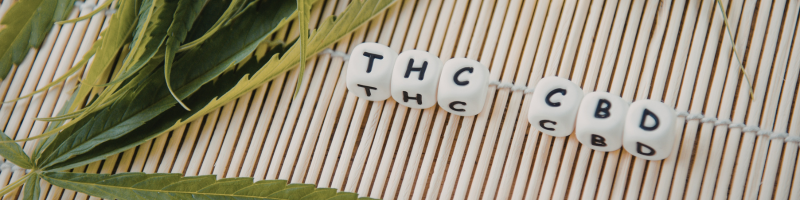 O uso de canabidiol é seguro