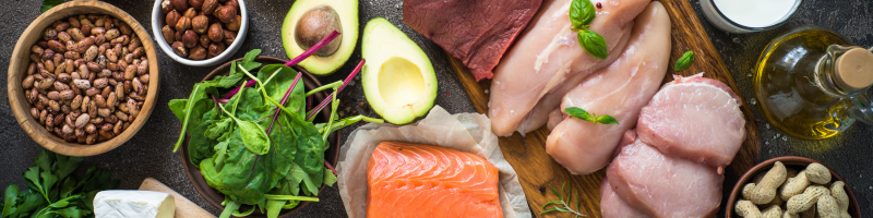 Por que a proteína é tão importante para o organismo?