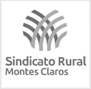 Sindicato Rural Montes Claros